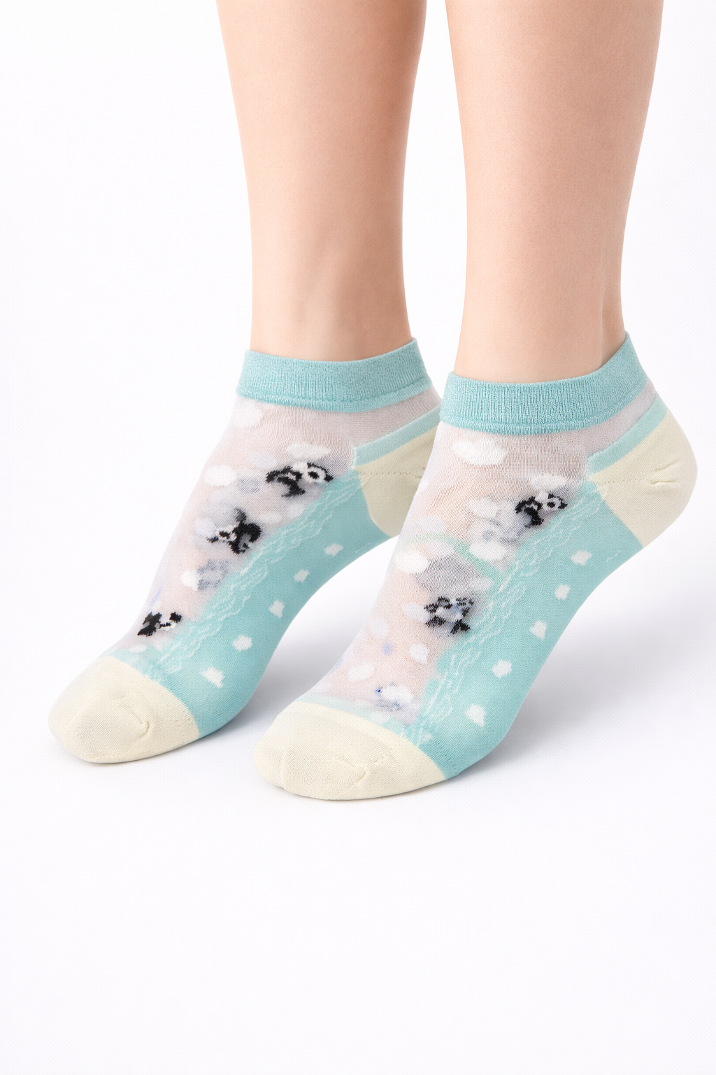 Pack 5 Calcetines Tobillos y Transparentes Mujer Diseño NW Confort Diario