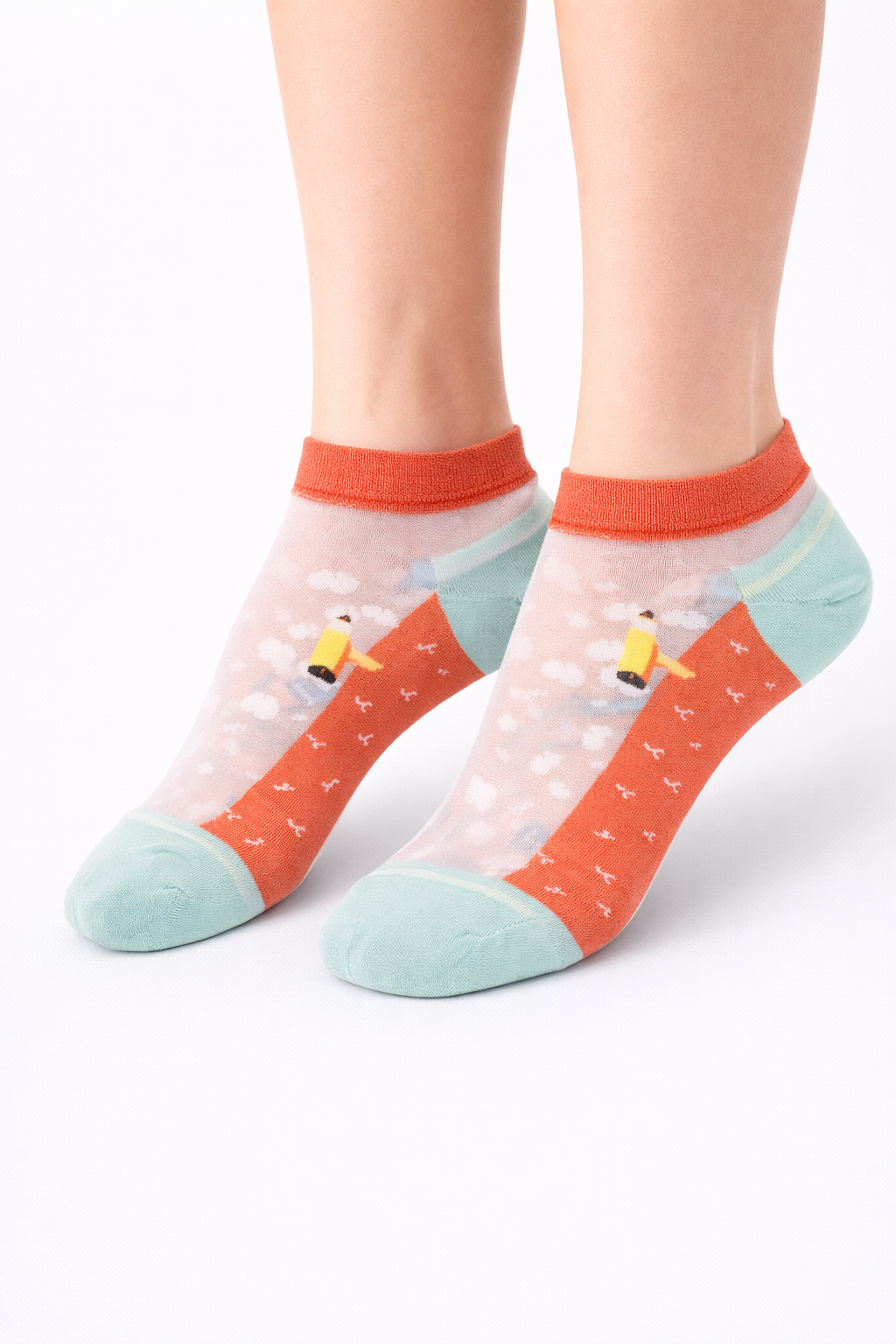 Pack 5 Calcetines Tobillos y Transparentes Mujer Diseño NW Confort Diario