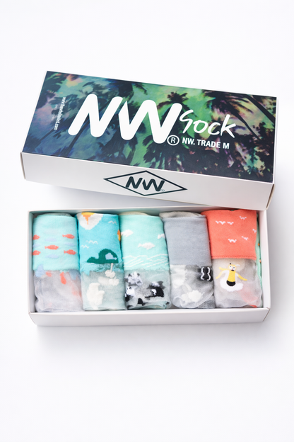 Pack 5 Calcetines Tobillos y Transparentes Mujer Diseño NW Confort Diario